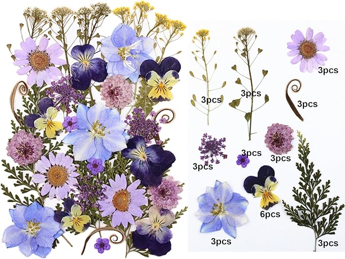 33pcs Dried Pressed Flowers for Crafts Resin DIY Art Natural Dry Floral Pansy - Image 2