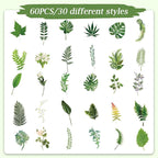 Imeepa 60Pcs Plants Stickers Transparent Scrapbooking Stickers | Waterproof - Image 3