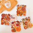 150PCS Orange Fall Dried Pressed Flowers - Image 2
