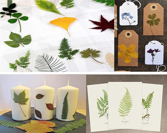 30PCS Green Dried Pressed Leaf Leaves, YouthBro Greenery Real Nature Plant - Image 4