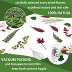 84 Pcs Dried Pressed Leaves Flowers Real Natural Dried Leaves Plant Kit - Image 4