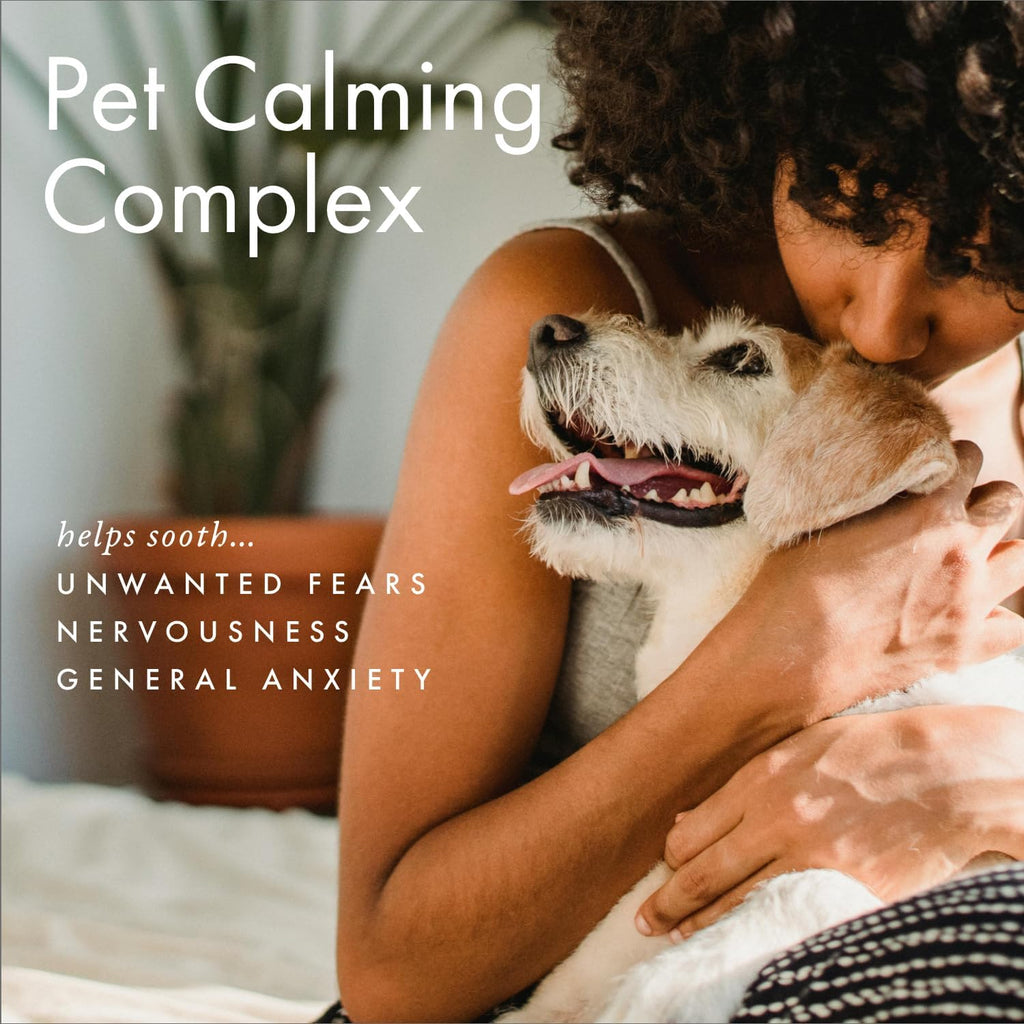 ScentAir Whisper Home Monthly Plug-in Refill, Fragrance Cartridge for Home and Office, Aloe Oasis Pet Calming