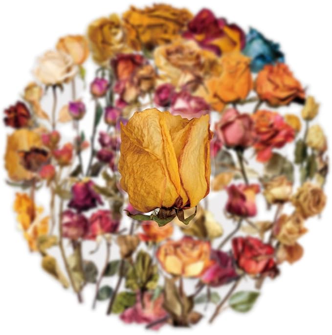 Transparent Flora Scrapbook Stickers Aesthetic Flowers Stickers | Transparent & - Image 2