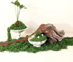 28.2oz Fake Moss for Crafts, Fairy Garden Accessories, Decorative Faux Grass - Image 9
