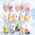 2 Boxes 3D Real Dried Flowers for Nail Art Colorful Mini Natural Gypsophila | - Image 5