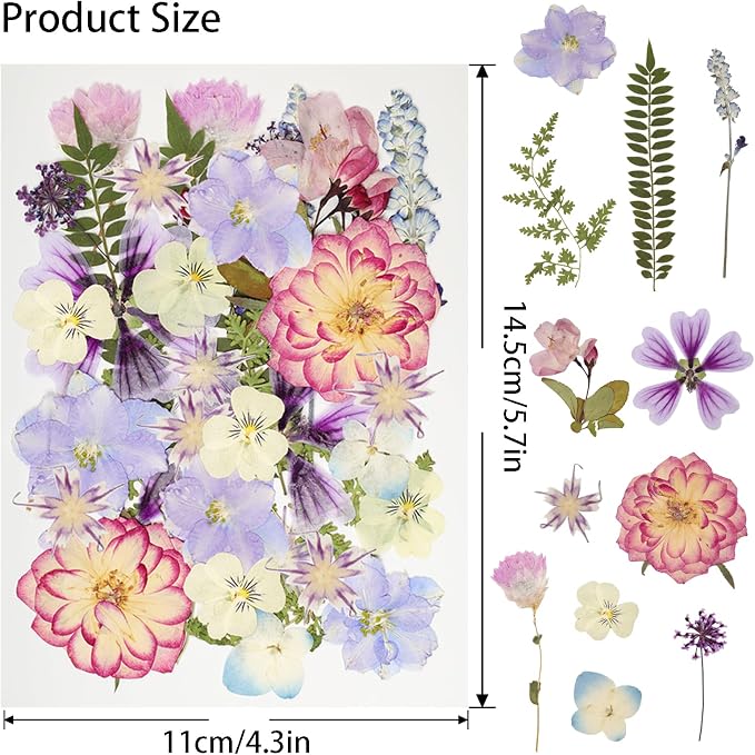 50Pcs Dried Pressed Flowers Resin Mould Real Pressed Flowers Natural Dry Leaves - Image 2