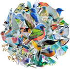 Imeepa 40Pcs Bird Stickers Transparent Scrapbooking Stickers | PET Vintage Bird by Imeepa