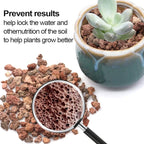 TOYPOPOR 6lb Red Lava Rocks Soil - Image 4