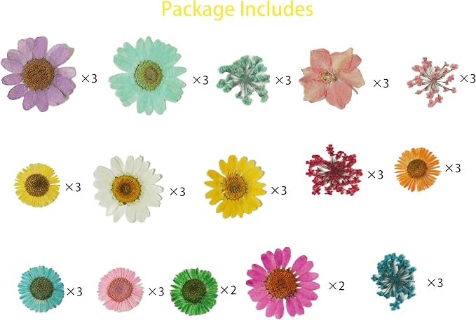 43Pcs Dried Pressed Flowers for Resin, Real Flowers Dry Leaves Bulk Natural - Image 2