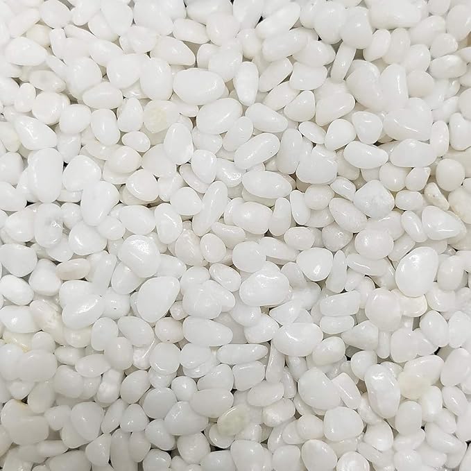 10 lb Natural Polished Decorative White Pebbles - Image 7