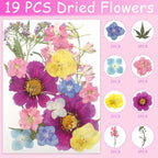 Real Dried Pressed Leaves for Candle Resin Jewelry Soap Nail Pendant Phone Case - Image 3