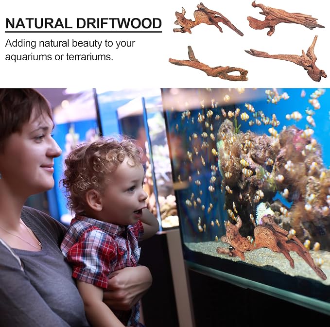 Natural Driftwood Decor for Aquarium Decorations Reptile Tank Accessories - Image 2