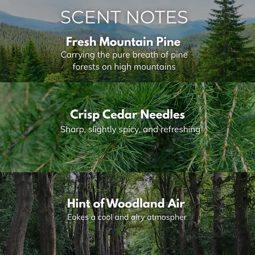 Pine Candle - 9.7 oz /275g 45-55 Hours Burn Time in Green Frosted Glass Jar with Wooden Lid and Wooden Crackling Wick in Luxurious Gift Box - Natural, Refreshing and Energising