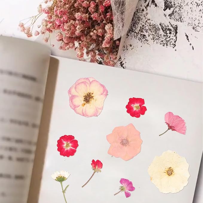 50Pcs Dried Pressed Flowers Real Pressed Flowers Natural Dry Leaves Bulk Mixed - Image 5