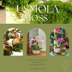 USMOLA Fake Moss for Potted Plants Indoor, 7OZ Green Moss for Crafts - Image 5