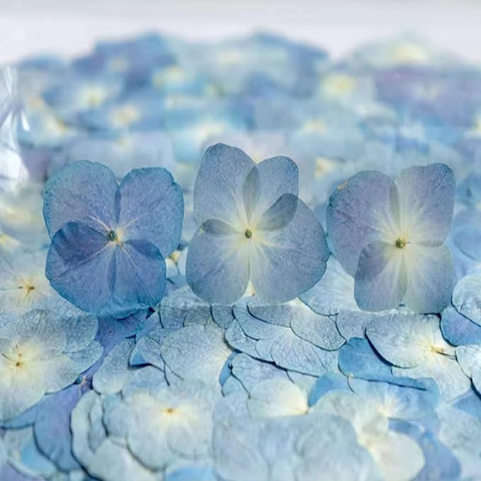 48 Pcs Dried Pressed Flowers for Resin DIY Art Crafts Natural Dry Hydrangea - Image 4