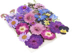 40 Pcs Purple Dried Pressed Flowers Real Natural - Image 6