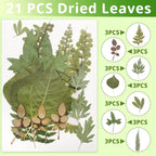 63 Pcs Real Dried Pressed Leaves Natural Assorted Dried Greenery - Image 3