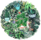 50PCS Green Plant Transparent Stickers, Potted Plant Floral Decals Stickers - Image 2