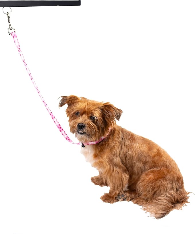 Country Brook Petz - Image 3
