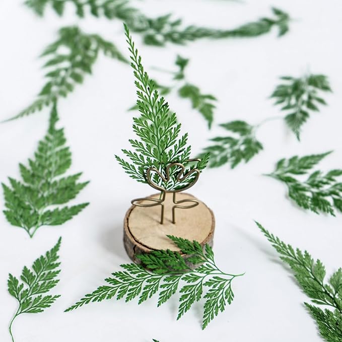 48 Pcs Dried Pressed Flowers Leaves Ferns - Image 4