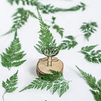 48 Pcs Dried Pressed Flowers Leaves Ferns - Image 4