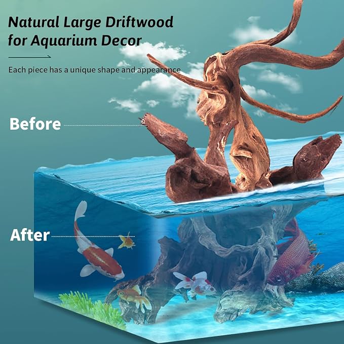 Hamiledyi 12Pcs Small Driftwood - Image 7