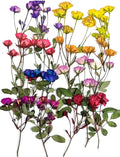 8 Types Real Dried Pressed Rose Flowers Plant Herbarium by AHTONG