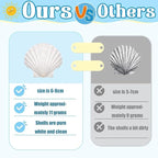 30PCS Natural Scallop Shells 2.3''-3'' White Sea Shells - Image 2