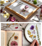 43Pcs Dried Pressed Flowers for Resin, Real Flowers Dry Leaves Bulk Natural - Image 5