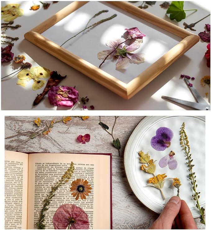 43Pcs Dried Pressed Flowers for Resin, Real Flowers Dry Leaves Bulk Natural - Image 5