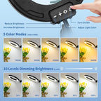 HITTI Ultra Long 12X Magnifying Glass - Image 6
