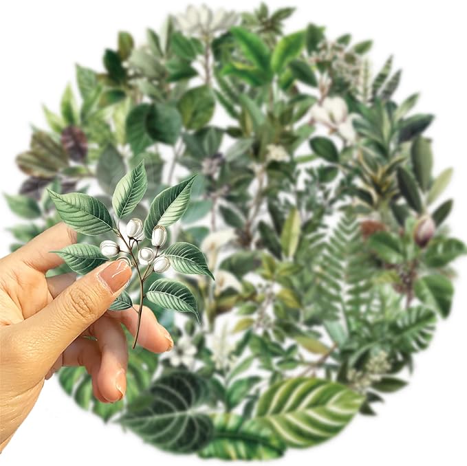 50pcs Transparent Green Leaf Sticker - Image 6
