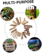 SHINEOFI Natural Driftwood Pieces - Image 3