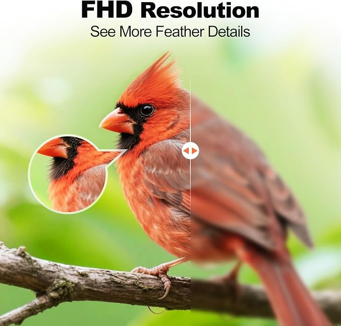 Bird Feeder with Camera, FHD Live View Video, Smart WiFi Bird Feeder Camera - Image 2