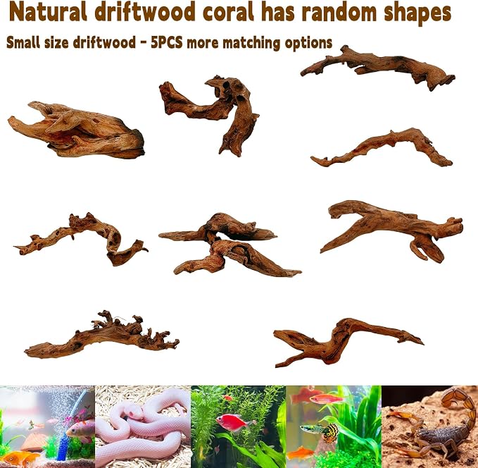 Hamiledyi 5PCS Driftwood for Aquarium Decor 3.5-7in Spider Wood Betta Fish Tank - Image 6