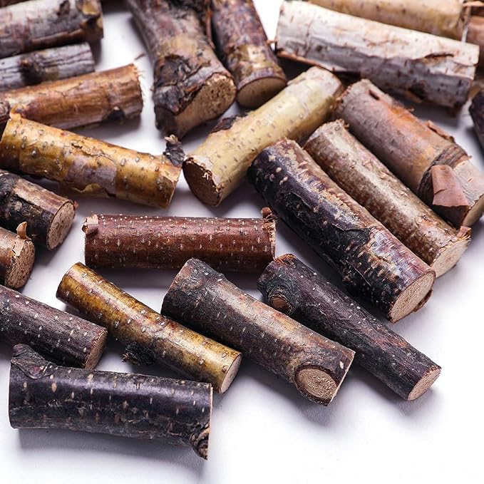 Craft Sticks, Mini Wood Log for Rustic Home Decor - Image 3