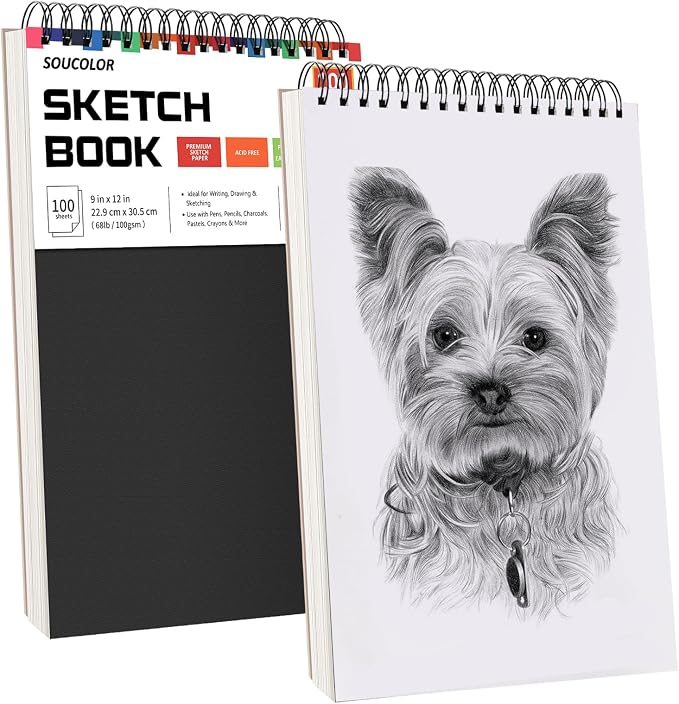 Professional Drawing Supplies for Sketch, Pastel Pencils & Sticks. Soucolor - Image 9