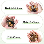 SIDONG 5 LB Mixed River Rocks, 0.4-1.2 Inches Highly Polished Pebbles - Image 5