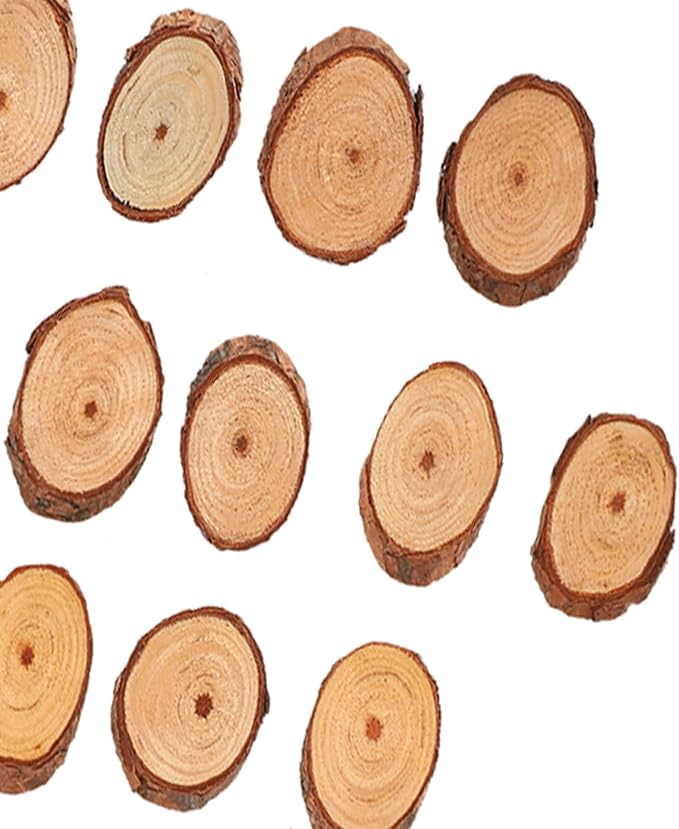 Rustic Unfinished Wooden Ornament Craft Kit 25 Piece DIY Blank Set - Image 9