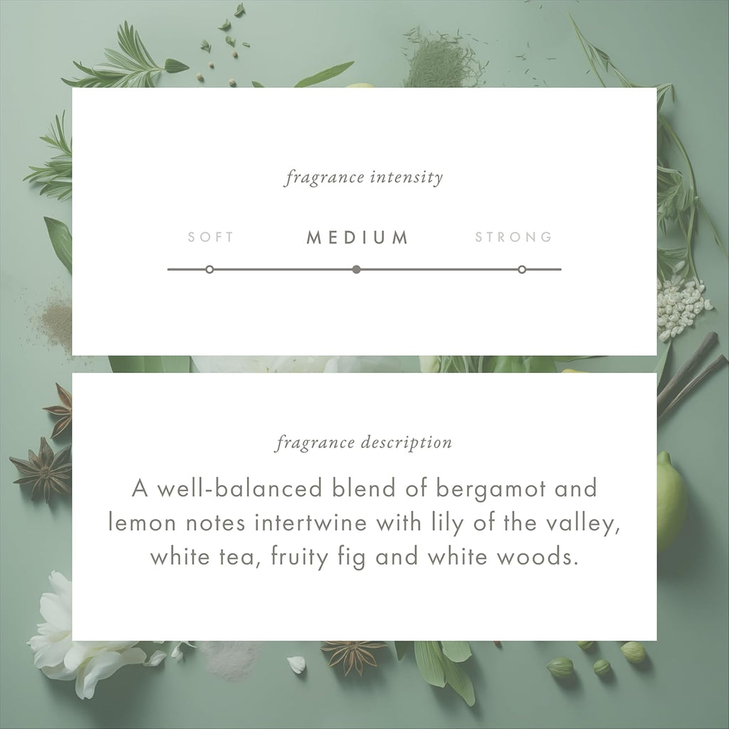 ScentAir Whisper Home Monthly Plug-in Refill, Fragrance Cartridge for Home and Office, White Tea & Fig