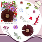 26 Pcs Purple Big Dried Pressed Flowers - Image 6
