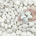 FANTIAN 40 lbs White Rocks for Landscaping, 1-2 Inch White Gravel. Decorative by FANTIAN-GardeningMakesLifeBetter