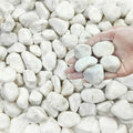 FANTIAN 5 lbs White River Rocks by FANTIAN-GardeningMakesLifeBetter