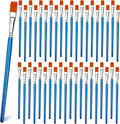 1/2 inch Flat Paint Brushes for Acrylic Painting, Watercolor, Face Body Art by GACDR