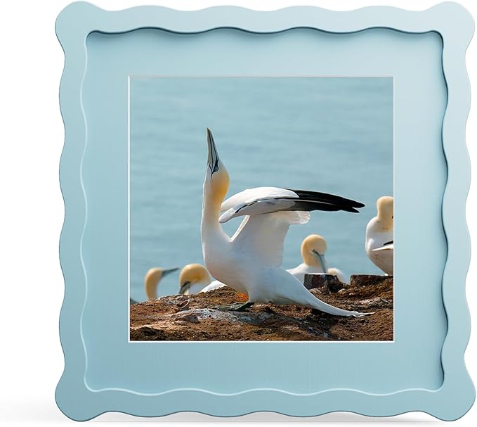 8x8 Picture Frame with Mat for 6x6, Wavy Edge Wooden Real Glass Photo Frame for by THKRLOF