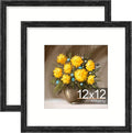 Vittanly 12x12 Picture Frames Set of 2, Ornate Vintage Photo Frame by Vittanly