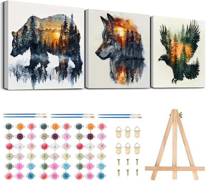 3 Pack Framed Paint by Numbers for Adult by MeothanDiamondPainting