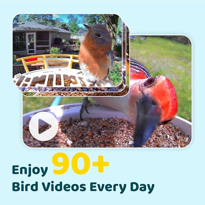 NETVUE by Birdfy Smart Bird Feeder - Image 3
