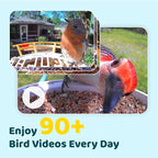 NETVUE by Birdfy Smart Bird Feeder - Image 3